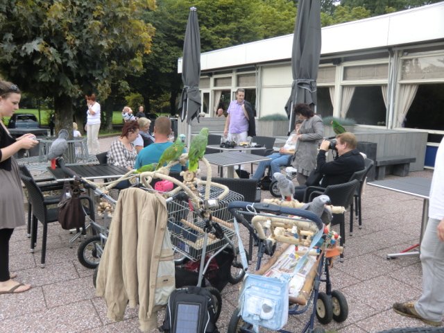 2011-09-04 Wantijpark